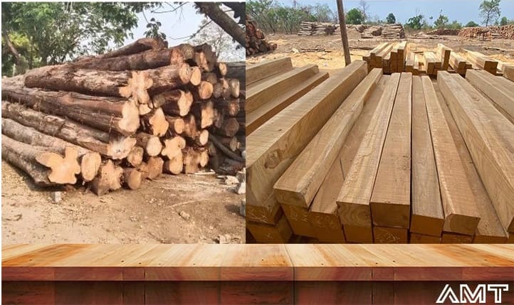 Benin Teak