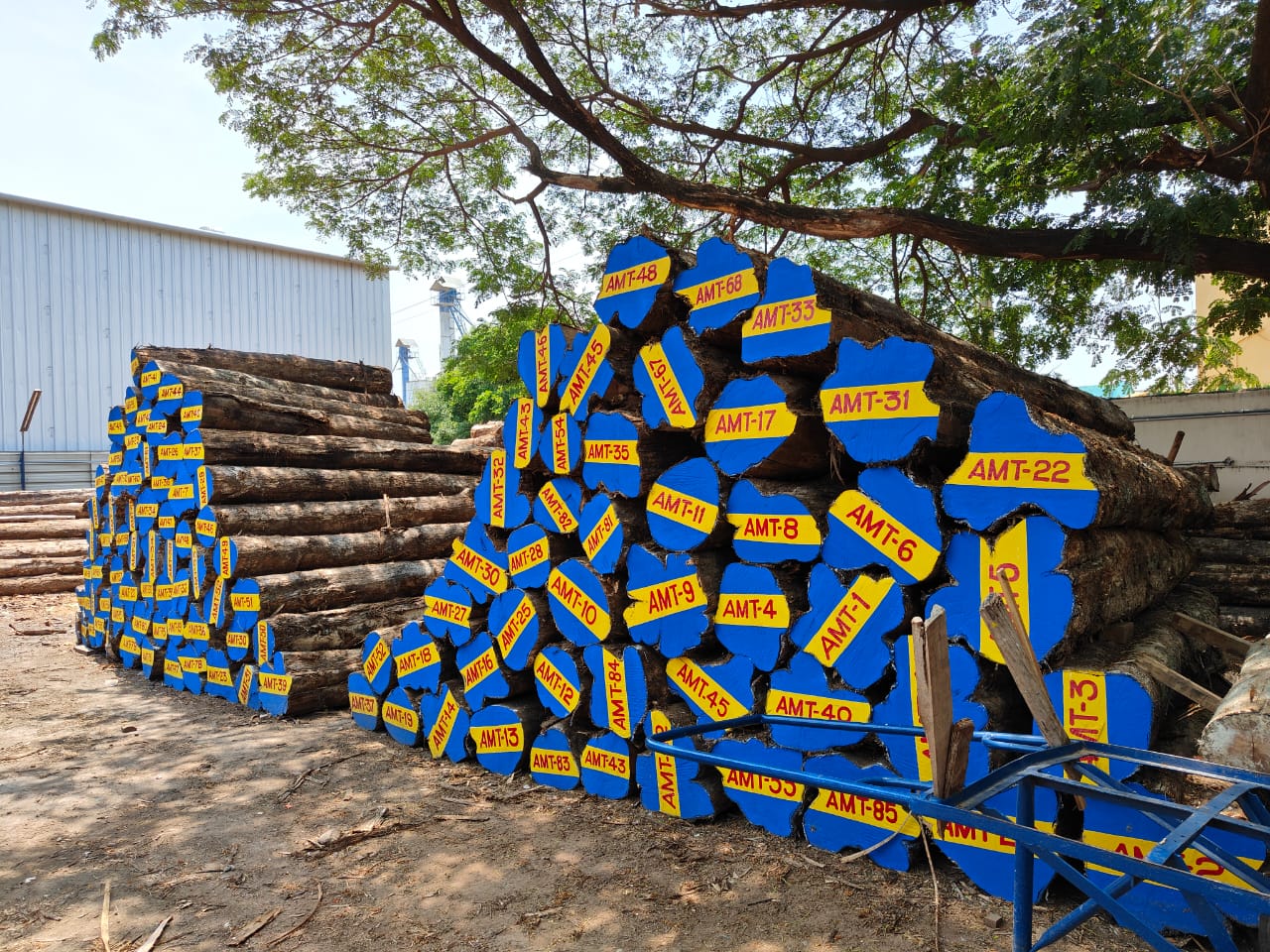 al-madina timbers in trichy
