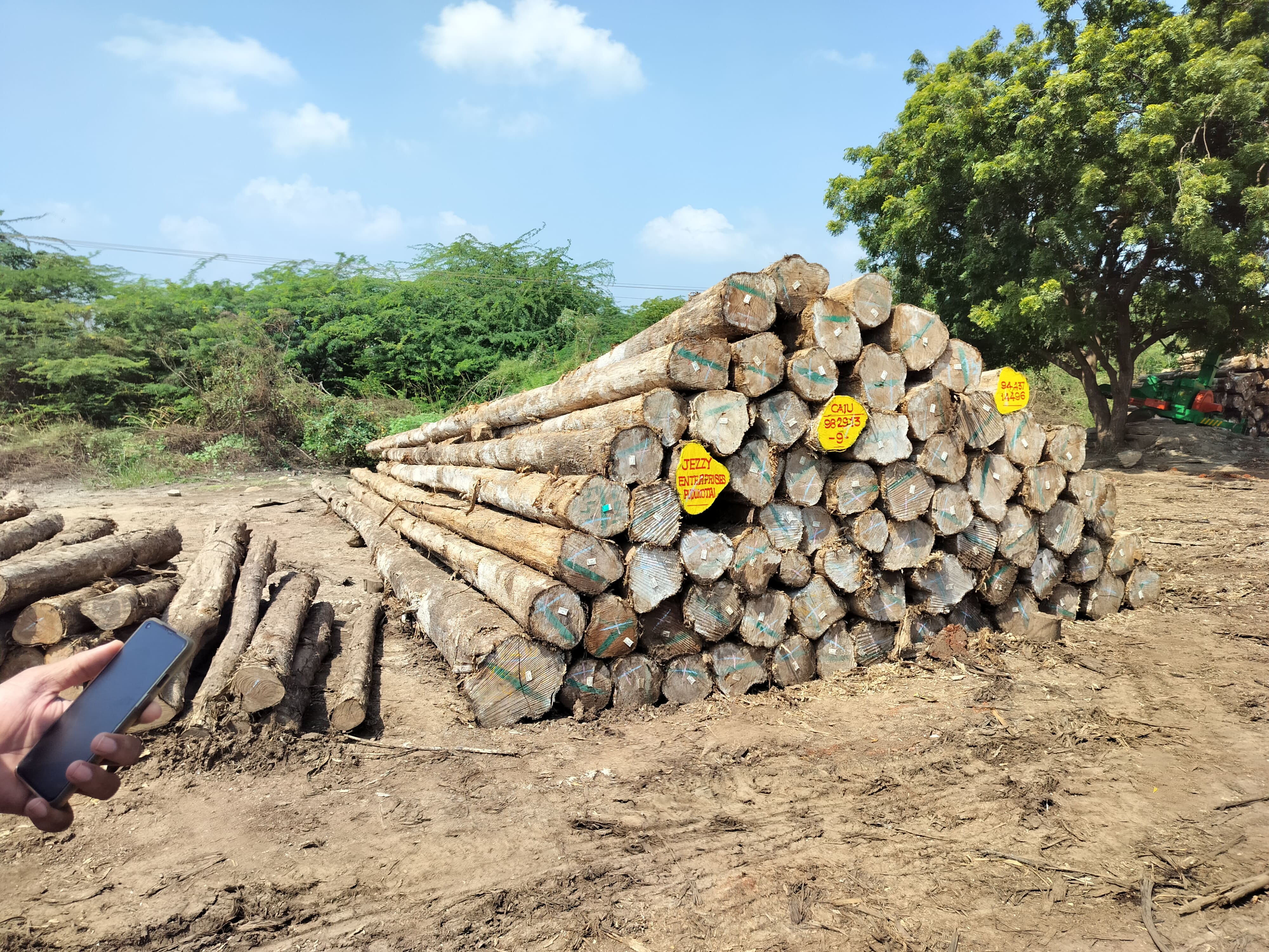 al-madina timbers in trichy